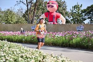 BIB: 
                            <button type="button" onclick="openModal(27804735)" class="btn btn-primary btn-sm float-right btn-popup" data-toggle="modal" data-target=".modal-high-quality">
                        <i class="fas fa-shopping-cart"></i> Add to Cart
                    </button>
                                            <button type="button" onclick="isThisMe(27804735, true)" class="btn btn-success btn-sm float-right btn-popup btn-isme hidden" data-toggle="tooltip" data-placement="bottom" title="นี่คือรูปของคุณใช่ไหม คลิกที่นี่เพื่อเอาเข้าอัลบั้ม">
                        <i class="fas fa-plus"></i> Add to album
                    </button>
                    <button type="button" onclick="isThisMe(27804735, false)" class="btn btn-warning btn-sm float-right btn-popup btn-isnotme hidden">
                        <i class="fas fa-ban"></i> Remove from album
                    </button>